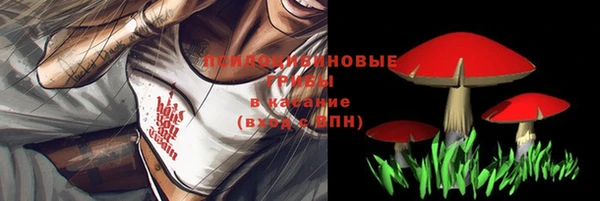 спайс Горно-Алтайск