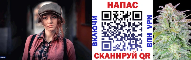 Бошки марихуана планчик  где продают наркотики  Мытищи 
